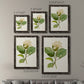 Size comparison chart for a set of two black barnwood framed canvas prints.