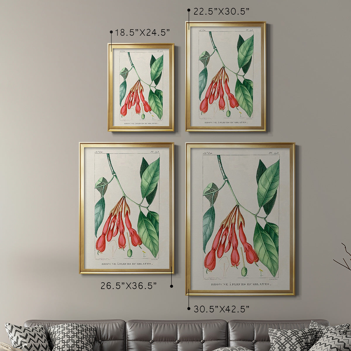 Turpin Tropical Botanicals I - Modern Framed Canvas Print