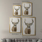 Handsome Whitetail II - Modern Framed Canvas Print