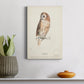 Tawny Owl Premium Gallery Wrapped Canvas - Ready to Hang