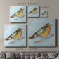 Bird Variety IV-Premium Gallery Wrapped Canvas - Ready to Hang