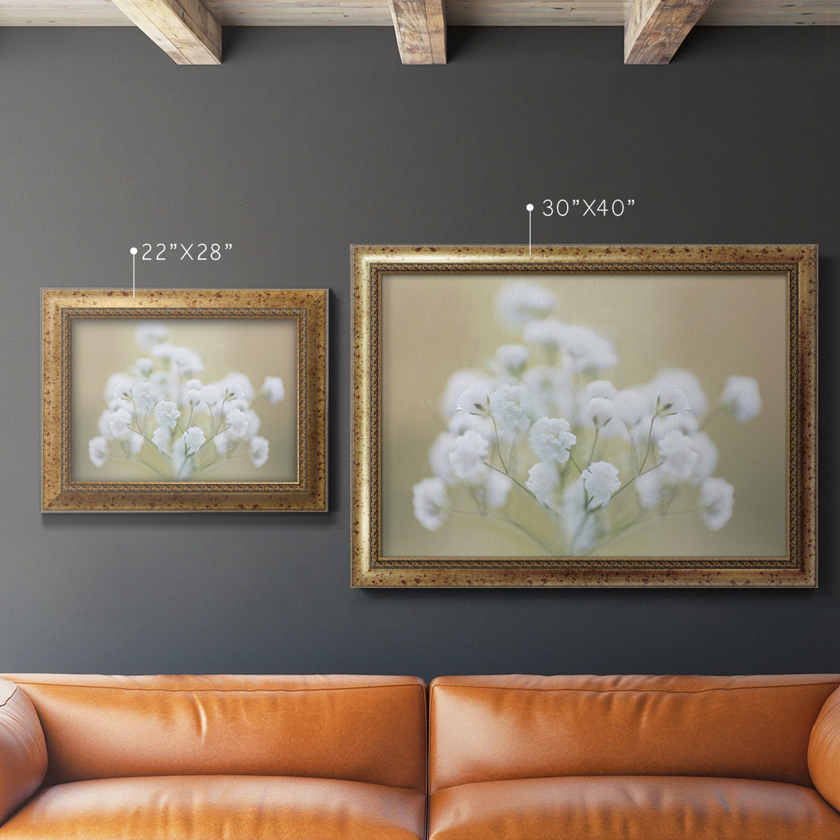 Baby's Breath Study I Premium Framed Canvas- Ready to Hang