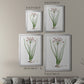 Rose Botanical II - Modern Framed Canvas Print