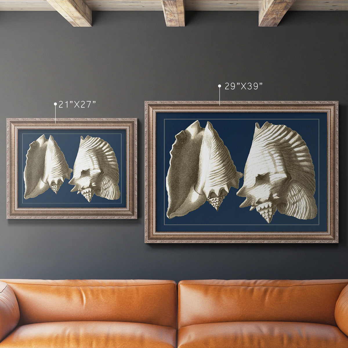 Conch Shells on Navy I Premium Framed Canvas- Ready to Hang