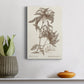 Sepia Fern Varieties III Premium Gallery Wrapped Canvas - Ready to Hang