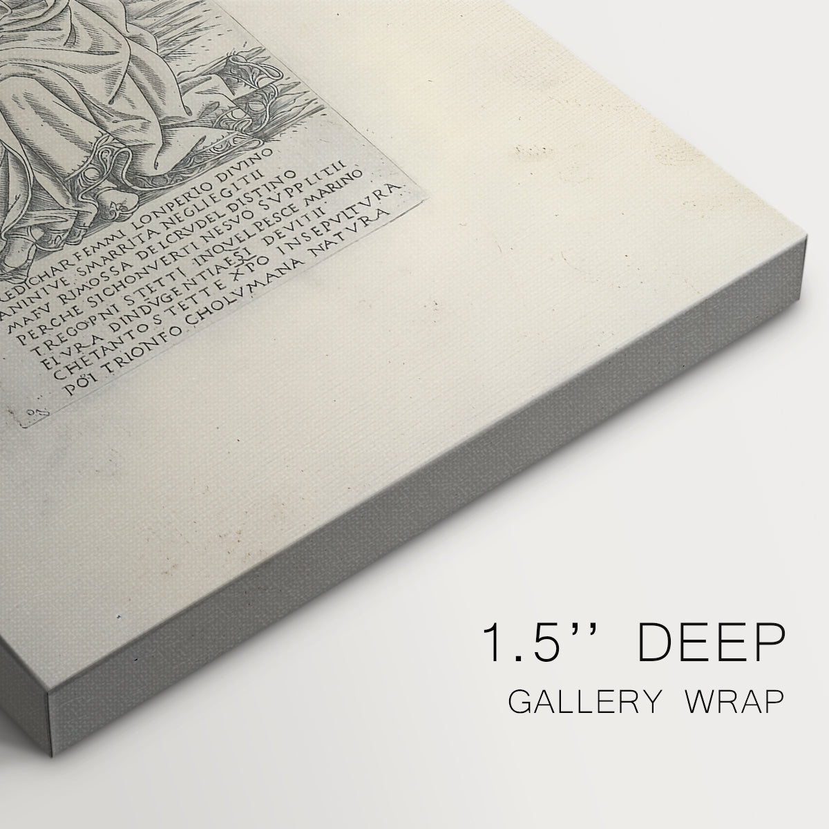 Close-up of a gallery-wrapped canvas corner showing a refined image with balanced form, highlighting texture and print detail.