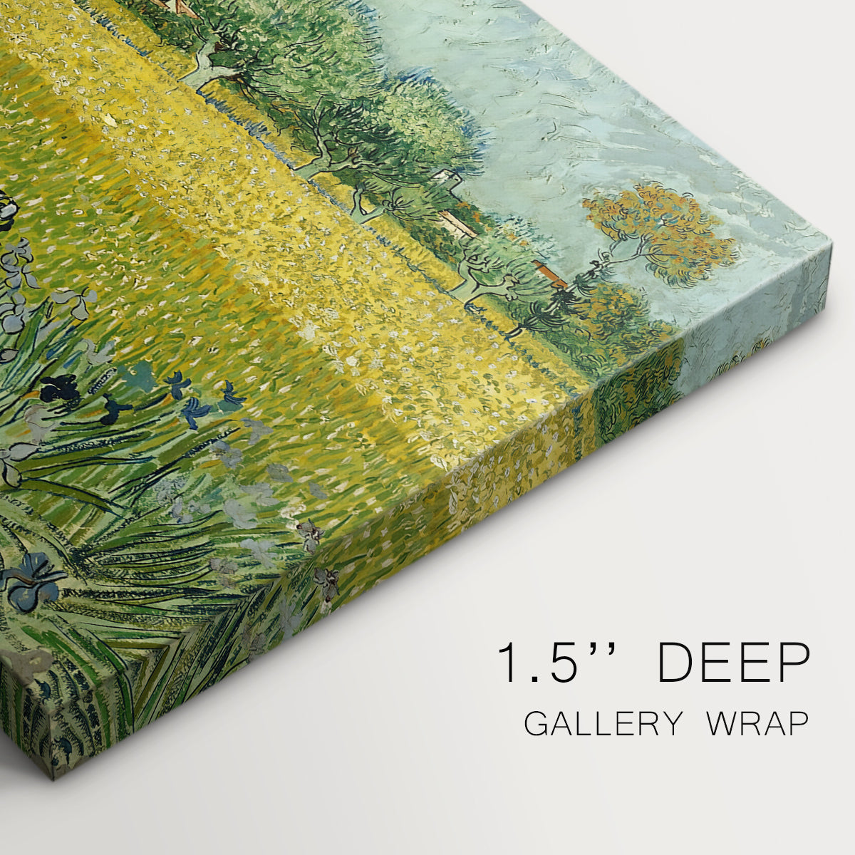 Canvas art print of an open field filled with irises stretching across landscape under bright sky, highlighting texture and gallery-wrapped edges