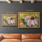 Echinacea Study I Premium Framed Canvas- Ready to Hang