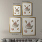Pastel Knorr Shells VII - Modern Framed Canvas Print