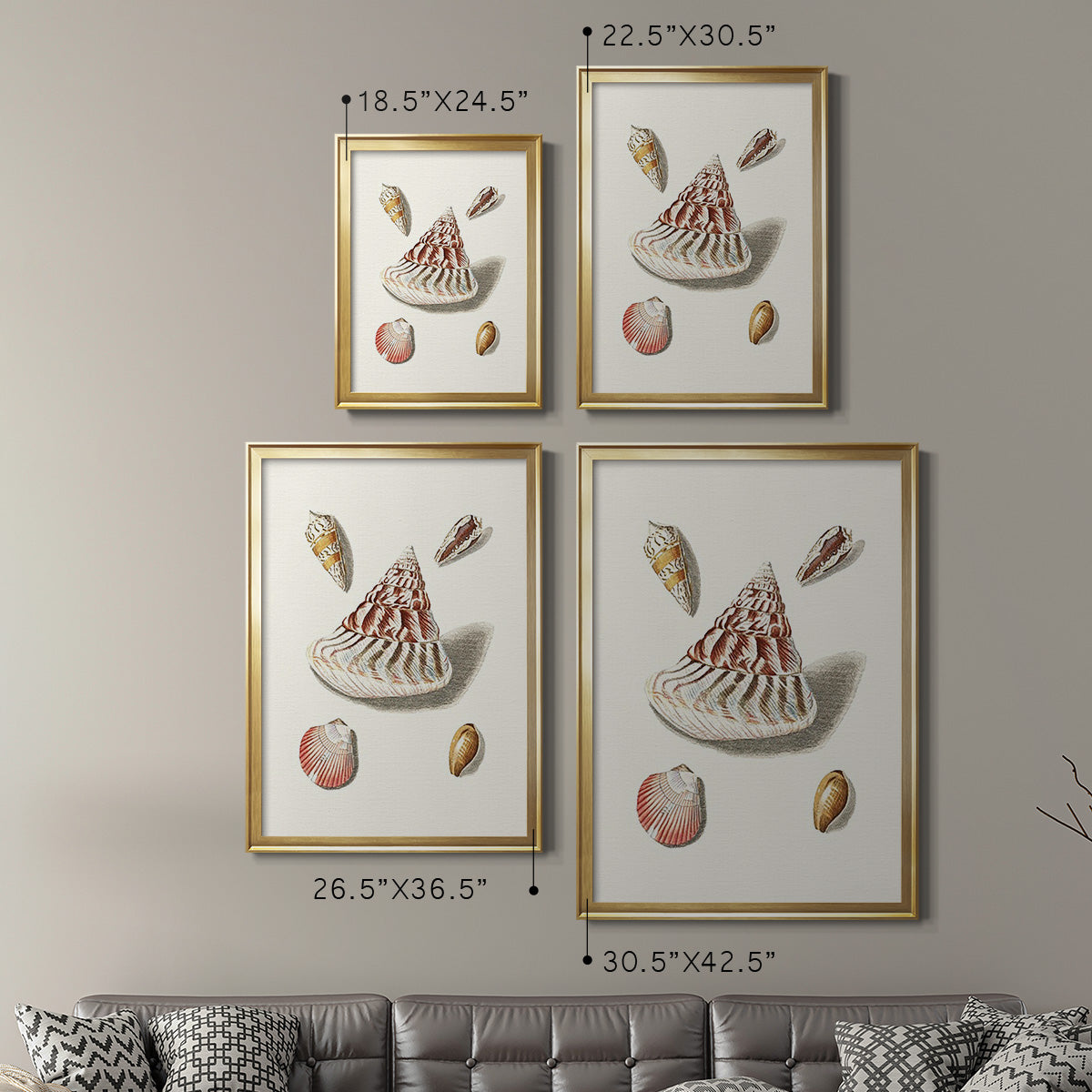 Pastel Knorr Shells VII - Modern Framed Canvas Print