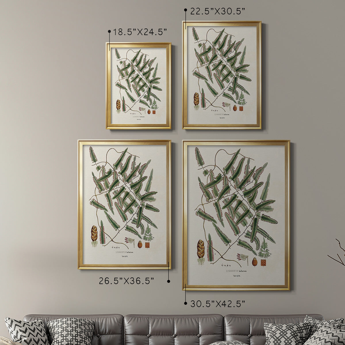 Botanical Society Ferns X - Modern Framed Canvas Print