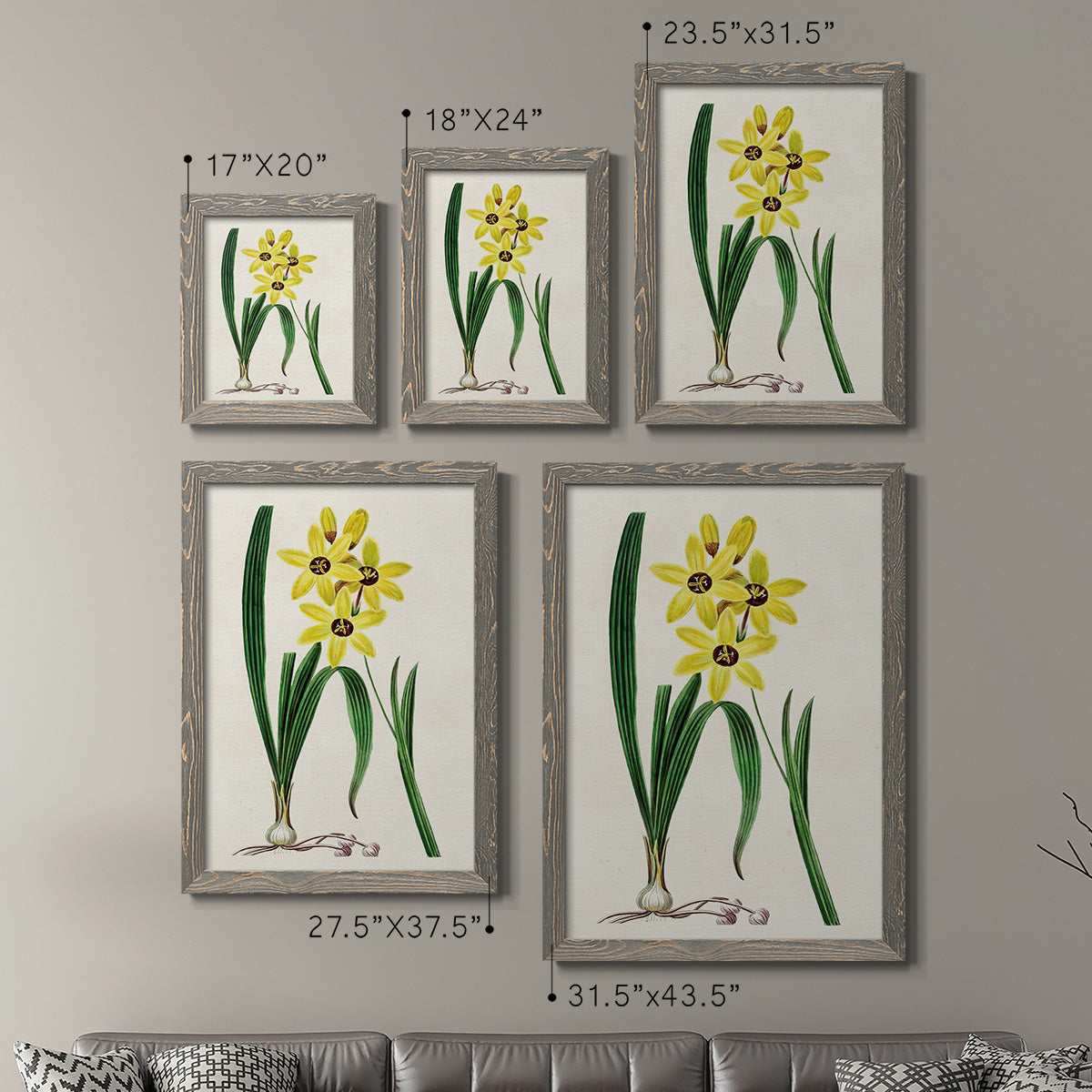 Size comparison chart for a set of two gray barnwood framed canvas prints.
