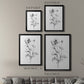 Wild Poppy Sketch - Modern Framed Canvas Print