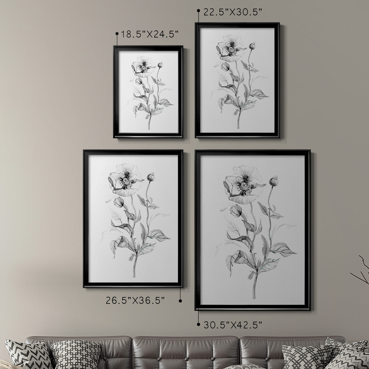 Wild Poppy Sketch - Modern Framed Canvas Print