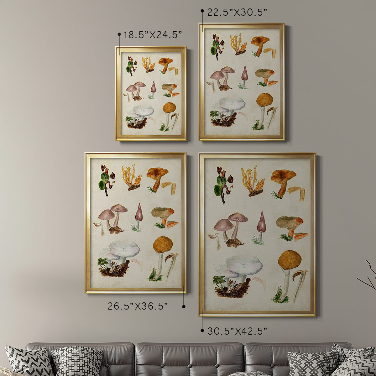 Mushroom Species VI - Modern Framed Canvas Print