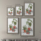 Home Grown I - Premium Framed Canvas 2 Piece Set - Ready to Hang