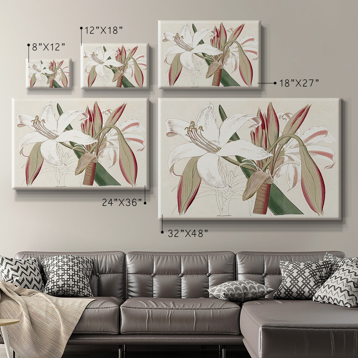 Amaryllis Varietals II Premium Gallery Wrapped Canvas - Ready to Hang