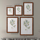 Eucalyptus I   - Premium Framed Canvas 2 Piece Set - Ready to Hang