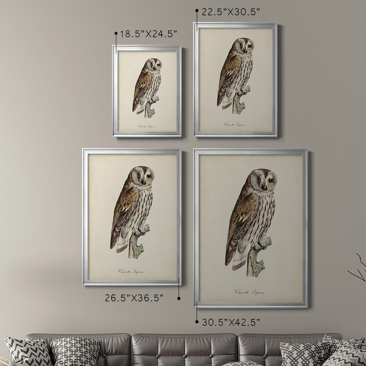 French Owls III - Modern Framed Canvas Print