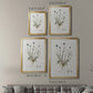 Bellflower Study - Modern Framed Canvas Print