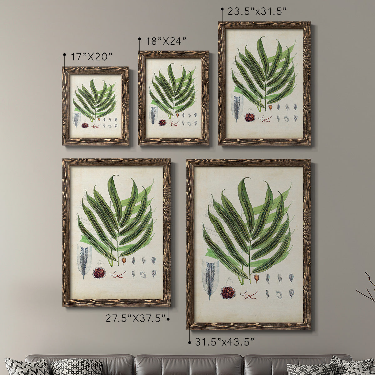 Size comparison chart for a set of two walnut barnwood framed canvas prints.