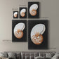 Graphic Nautilus Premium Gallery Wrapped Canvas - Ready to Hang