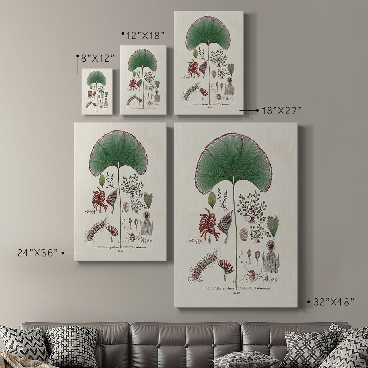 Botanical Society Ferns III - Canvas Art Print