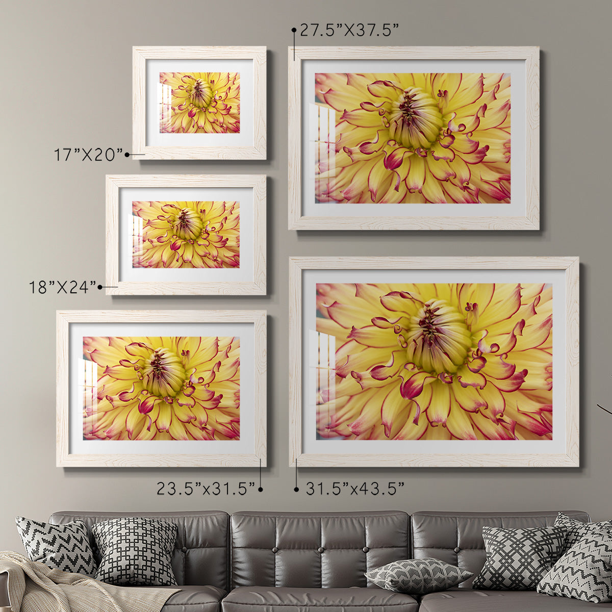 Blooms II - Barnwood Framed Art Print