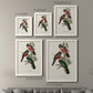 Elegant Trogons V - Premium Framed Canvas 2 Piece Set - Ready to Hang