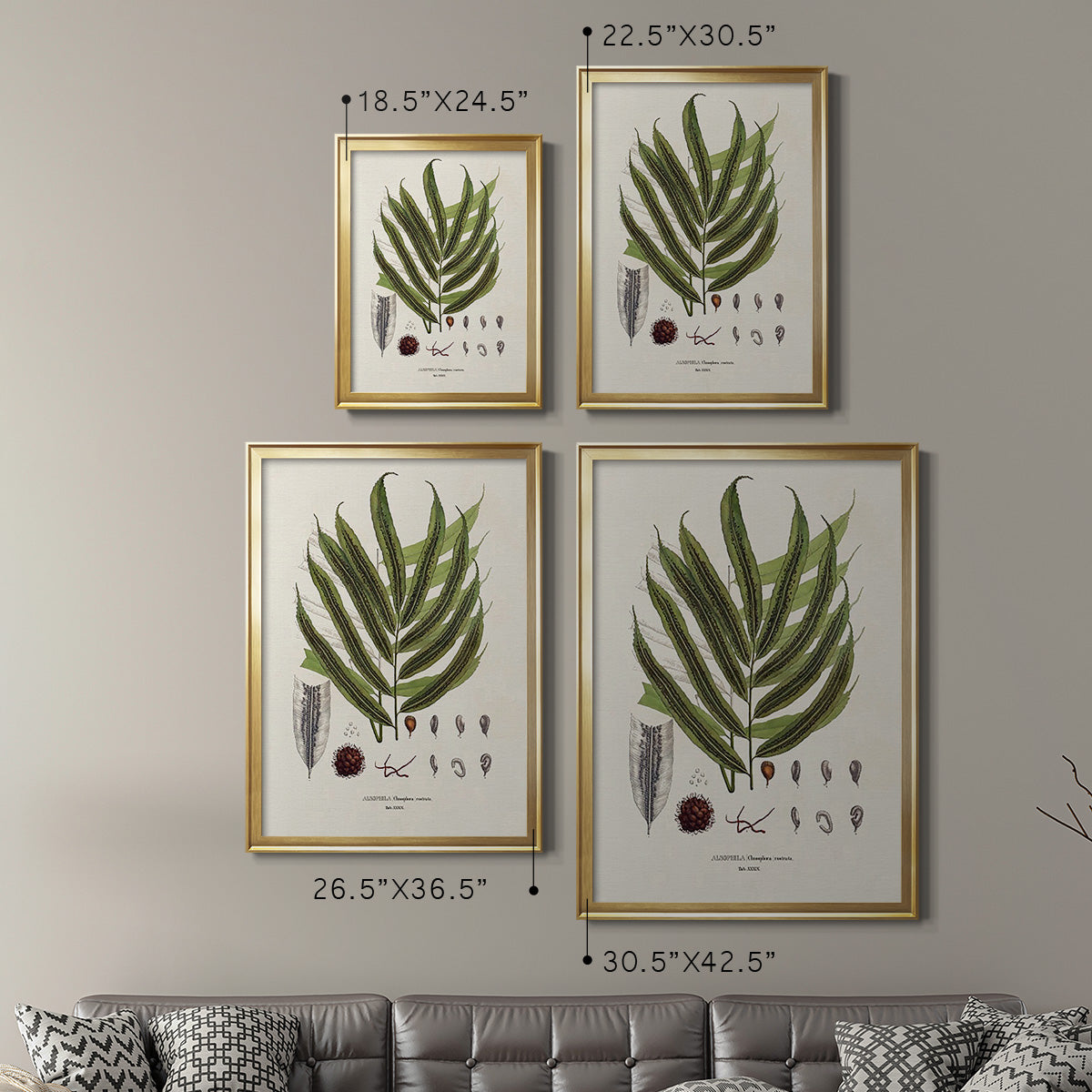 Botanical Society Ferns II - Modern Framed Canvas Print