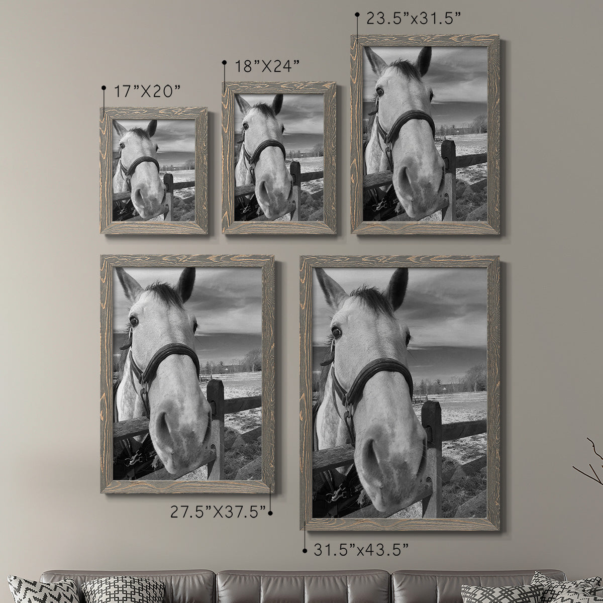 Size comparison chart for a set of two gray barnwood framed canvas prints.