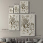 Sepia Botanical Journal IX - Canvas Art Print