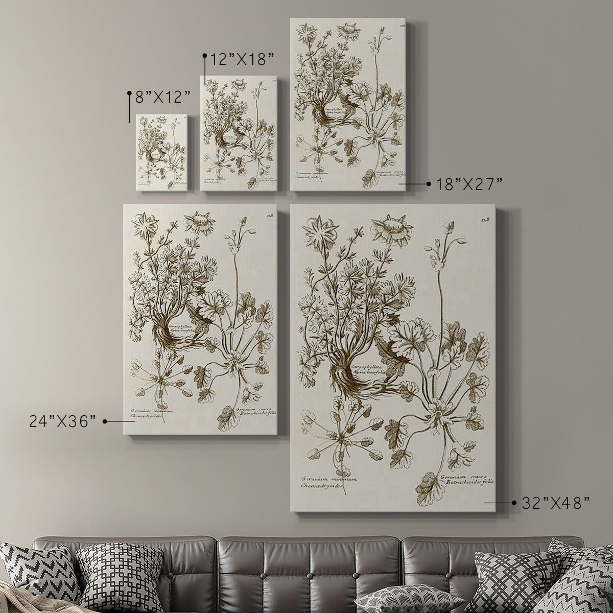 Sepia Botanical Journal IX - Canvas Art Print
