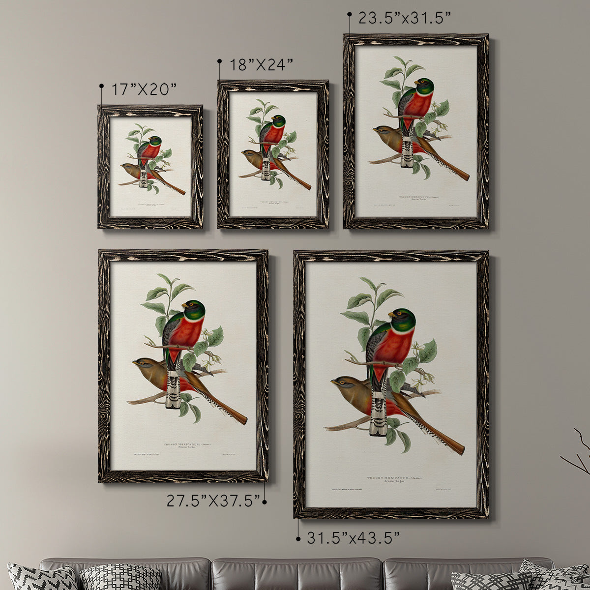 Elegant Trogons I - Premium Framed Canvas 2 Piece Set - Ready to Hang