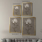 Pretty As A Peony II - Modern Framed Canvas Print