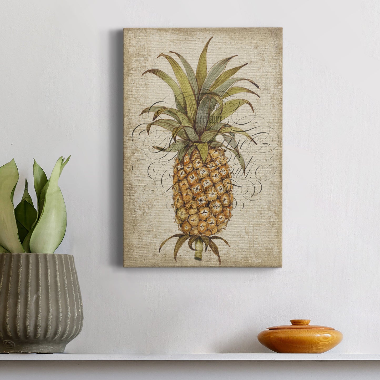 Pineapple Study II Premium Gallery Wrapped Canvas - Ready to Hang