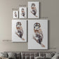 Barred Owl Impressions II Premium Gallery Wrapped Canvas - Ready to Hang