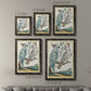 Pastel Birds I - Premium Framed Canvas 2 Piece Set - Ready to Hang