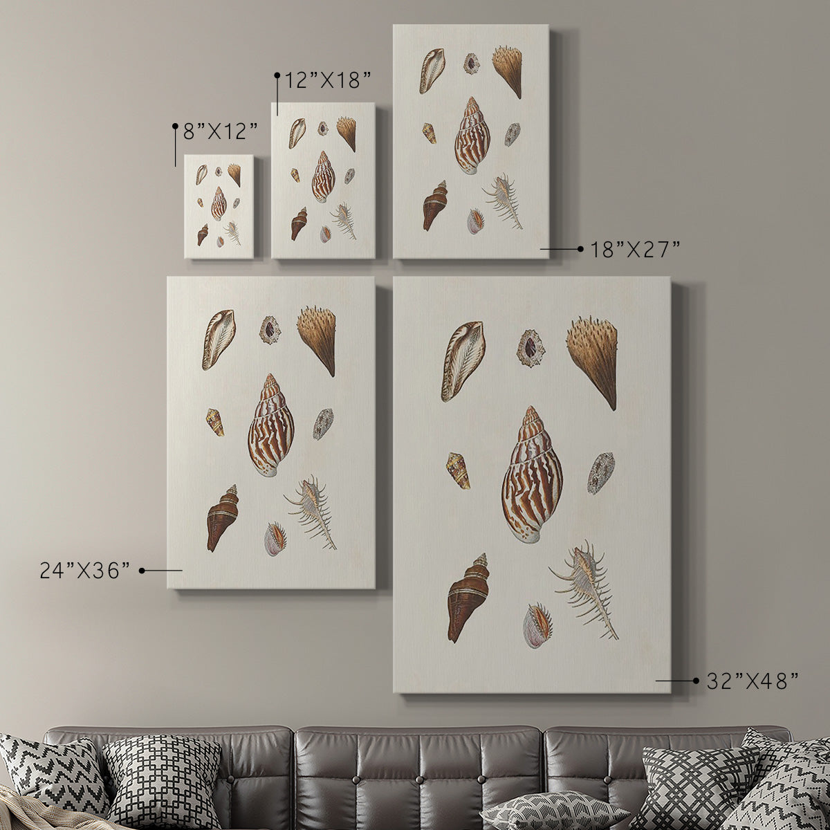 Knorr Shells & Coral IX - Canvas Art Print