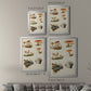 Mushroom Species X - Modern Framed Canvas Print