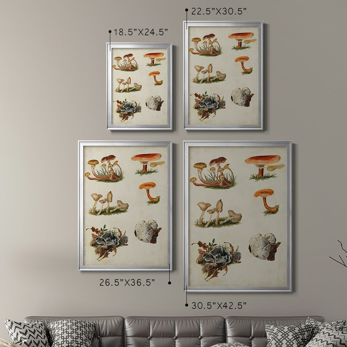 Mushroom Species X - Modern Framed Canvas Print