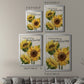 Fresh Picked Sunflowers - Modern Framed Canvas Print
