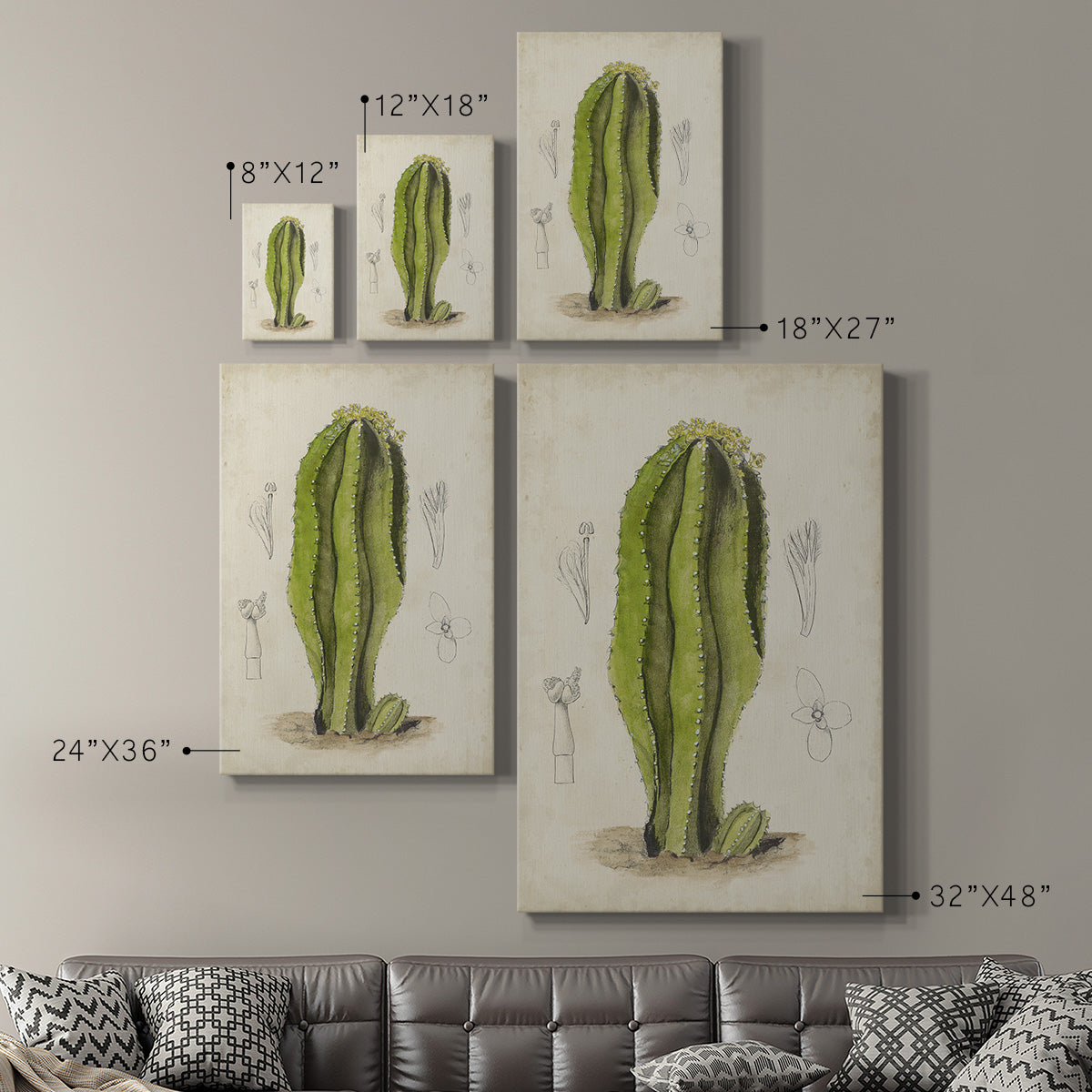 Antique Cactus VI Premium Gallery Wrapped Canvas - Ready to Hang