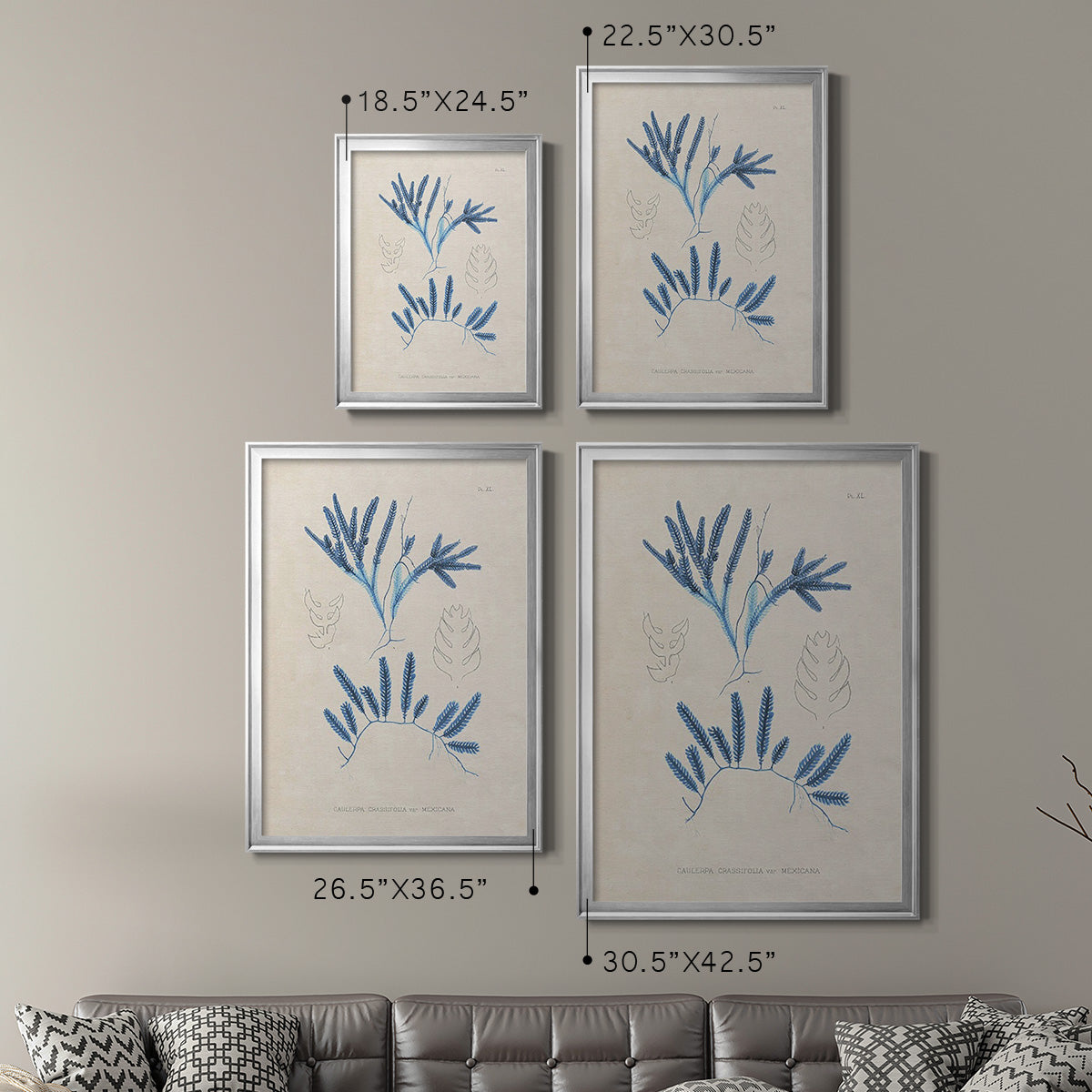 Blue Marine Algae I - Modern Framed Canvas Print