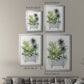 Plant Bath II - Modern Framed Canvas Print