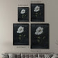 Country Botanical II - Modern Framed Canvas Print