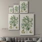 Buchoz Tropicals IX - Canvas Art Print