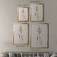 Delicate Stems II - Modern Framed Canvas Print