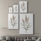 Dainty Botanical I - Canvas Art Print