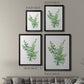 Eucalyptus III - Modern Framed Canvas Print